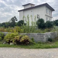 فروش ۲۶۰متر زمین سندار درخیابان۱۵خردادرامسر|فروش زمین و ملک کلنگی|کتالم و سادات شهر, |دیوار