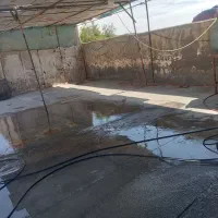 نیرو کاروش