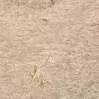 خرده کاری کاشی،کاشی کاری ساختمان حتی چند متر