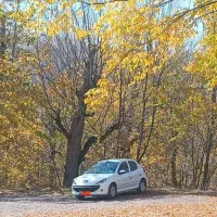 ۲۰۷ مدل ۱۴۰۴