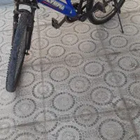 دوچرخه ۲۴ مارال|دوچرخه، اسکیت، اسکوتر|بندر ماهشهر, |دیوار