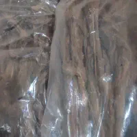 تنباکو