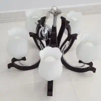 دو عدد لوستر ۵ شاخه چوبی