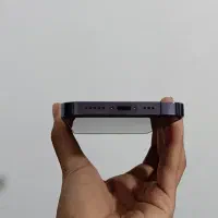 ایفون ۱۴پرو|موبایل|شیراز, گل سرخ|دیوار