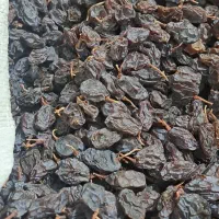 مویز انگور بش|خوردنی و آشامیدنی|شیراز, معالی‌آباد|دیوار