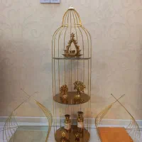 استندطلایی قفسه پیازی