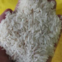 برنج نیم دانه خورده برنج سبوس