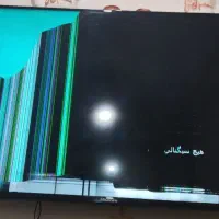 تلوزیون