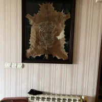 تایلو پوست وان یکاد
