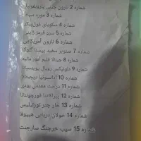 بذر بنسای|گل و گیاه طبیعی|رشت, کوی غلام نیا|دیوار