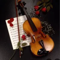 ویولونیست حرفه ای