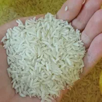 فروش برنج طارم هاشمی معطر درجه یک|خوردنی و آشامیدنی|مهدی شهر, |دیوار