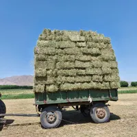 یونجه خالص بدون کودشیمیایی