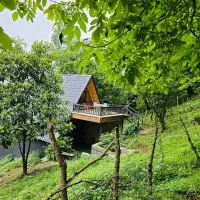 اجاره کلبهای ویودار استخردار بدون استخر