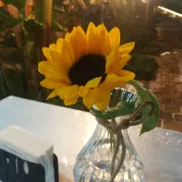 استخدام ویتر و سالندار شیفت شب