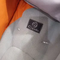 کالسکه|کالسکه و لوازم جانبی|شیراز, میانرود|دیوار