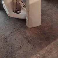 روشویی به همراه چراغ دستشویی|لوازم سرویس بهداشتی|تهران, مسعودیه|دیوار