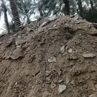 خاک حیوانی گاو|خدمات باغبانی و درختکاری|بم, |دیوار