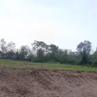 فروش زمین مسکونی سیاهکل روستای لشکریان