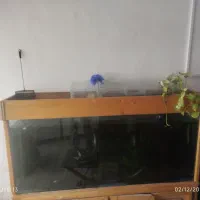 اکواریم بزرگ و زیبا