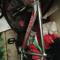 دوچرخه اورلورد