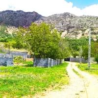 زمین هزارمتری ویلایی سردسیر