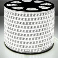 ریسه شلنگی نور مخفی آفتابی و سفید|ریسه و چراغ تزئینی|تهران, فردوسی|دیوار