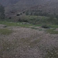 هم خونه،خواف ،منزل مسکونی