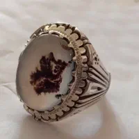 انگشتر شجر قائن