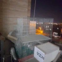 عروس هلندی،مرغ عشق،قفس