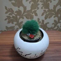 گل طبیعی با گلدان سرامیکی|گل و گیاه طبیعی|ری, فیروزآبادی|دیوار