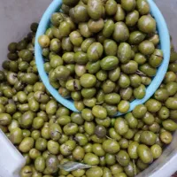 زیتون سبز و تازه|خوردنی و آشامیدنی|لاهیجان, امیرشهید|دیوار