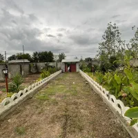 فروش ویلا باغ هزارمتری|فروش خانه و ویلا|رشت, حافظ آباد|دیوار