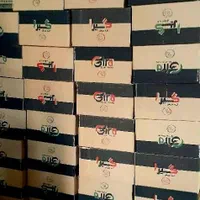 چسب موش (عمده)|عمده‌فروشی|تهران, اتحاد|دیوار