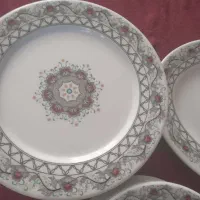 ظروف پذیرایی