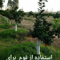 آبیاری قطره ایی از راه دور