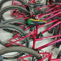 ۵ عدد دوچرخه