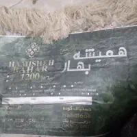 فرش همیشه بهار|فرش|برخوار, |دیوار