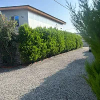 خرید-زمین-چمستان-نور-شهرکی-آماده-ساخت