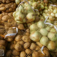 تره بار|خوردنی و آشامیدنی|تهران, شهرک شریعتی|دیوار