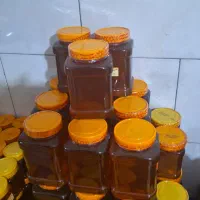 به تعدادی نیروی جوان ( اقا) جهت بسته بندی عسل|استخدام بازاریابی و فروش|اصفهان, جی شیر|دیوار