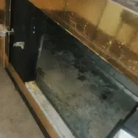 یخچال و فریزر ایستاده استیل|یخچال و فریزر|زاهدان, |دیوار