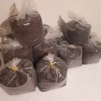 فروش چای لاهیجان