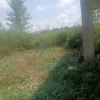 زمین متراز ۱۳۴ متر مربع مسکونی|فروش زمین و ملک کلنگی|رشت, خرسندی|دیوار