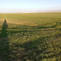 زمین کشاورزی