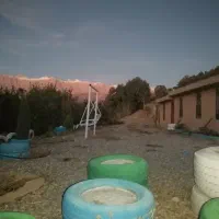 زمین-برنج-کاری