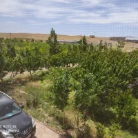 اجاره زمین  کشاورزی  بویین زهرا 120کیلومتری تهران