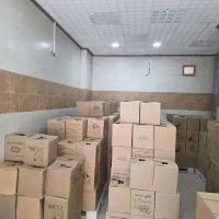 فروش عمده تخم مرغ بدون واسطه