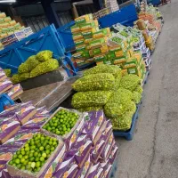 لیمو ترش کله بار