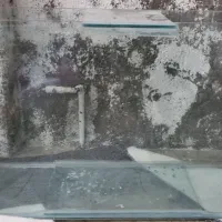 آکواریوم|ماهی|تایباد, |دیوار